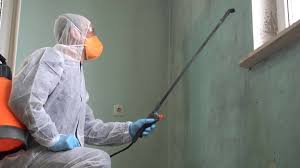 Why You Should Choose Our Mold Remediation Services in Greenacres, CA